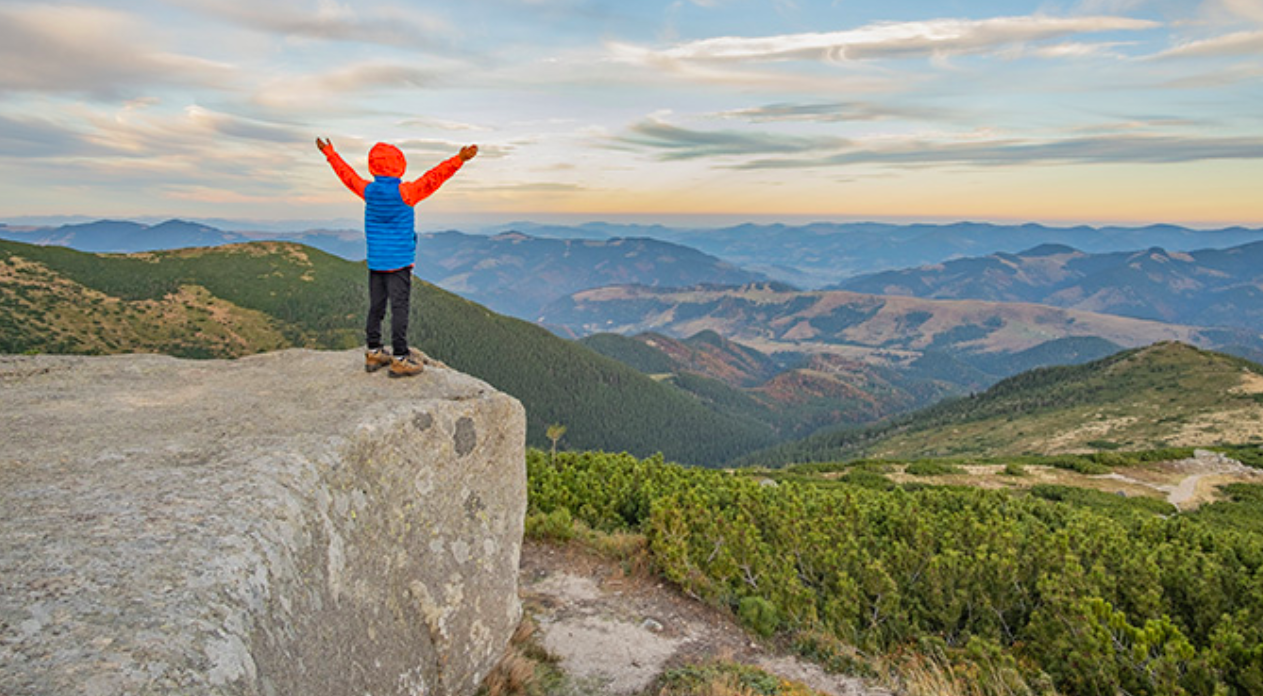 The Science Behind Creativity